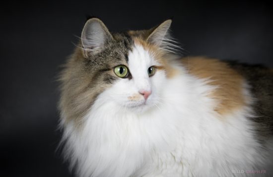 mariedarling mariedarling