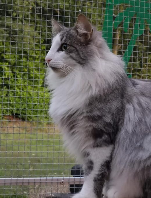 71514841_10221227695870248_6361969235467436032_n